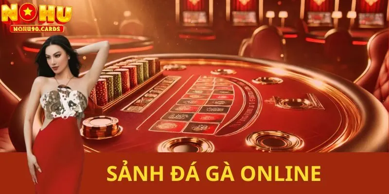 Sảnh Đá Gà Online Tại Nhà Cái Nohu90 – Sân Chơi Hấp Dẫn Cho Người Đam Mê Gà Chọi